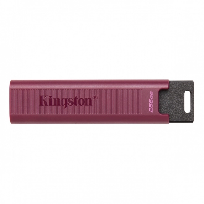 USB kľúč Kingston DataTraveler Max 256GB