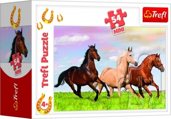 Puzzle Svet koní 54 dielikov