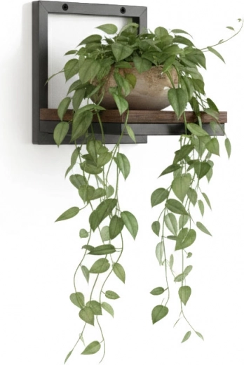 Praktické vystavenie rastlín a úspora miesta