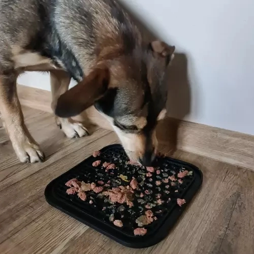 Masáž ďasien a pomalšie kŕmenie