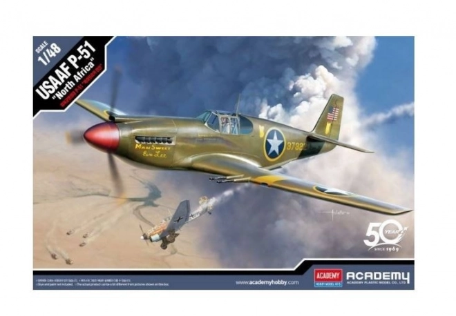 Plastikový model USAAF P-51 North Africa