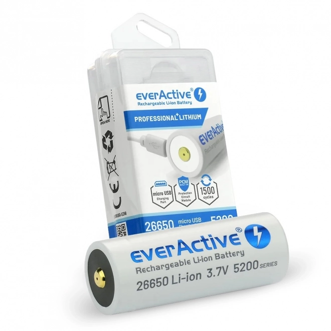 Akumulátor everActive s micro USB 5200 mAh