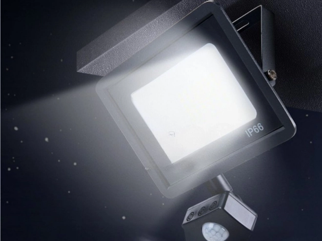 Vonkajší LED Reflektor 30W s Pohybovým a Súmrakovým Senzorom IP66