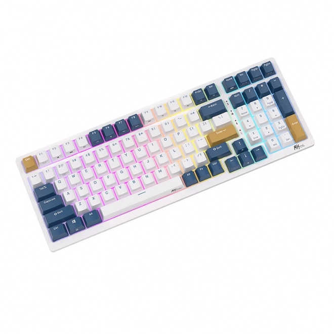 Mechanická klávesnica Royal Kludge RK98 RGB