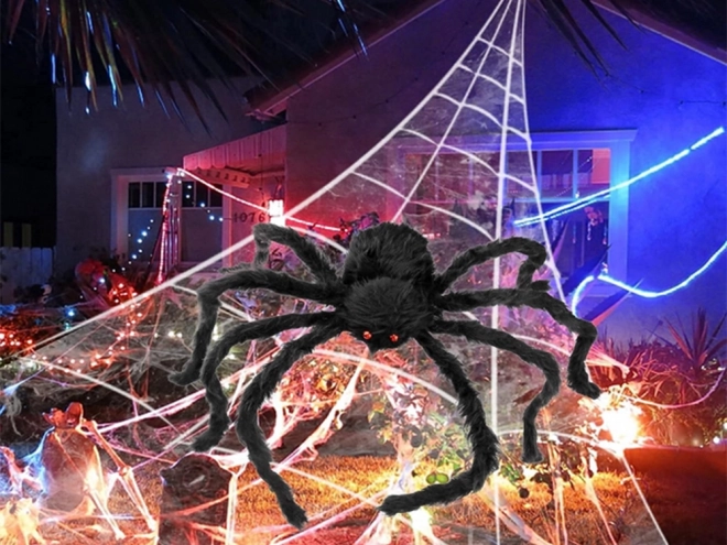 Obrovský halloweensky pavúk tarantula