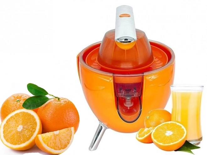 Elektrický citrusový odšťavňovač
