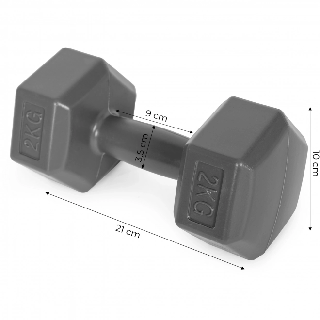 Hexagonálne činky ModernHome 2x2 kg šedé