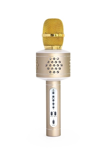 Strieborný Bluetooth karaoke mikrofón – Čierna