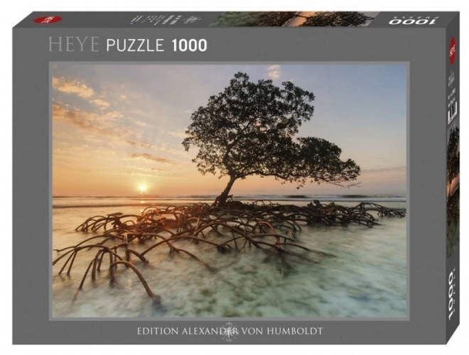 Puzzle 1000 ks - Mangrovy pri východe slnka