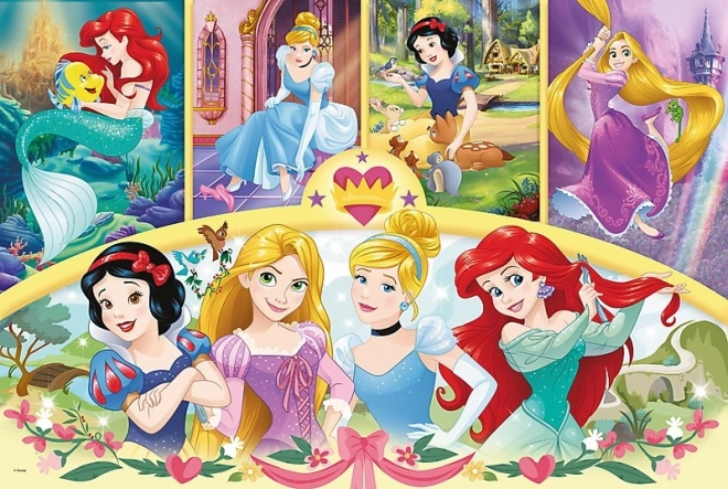 Trefl puzzle Disney princezny maxi 24 dielikov