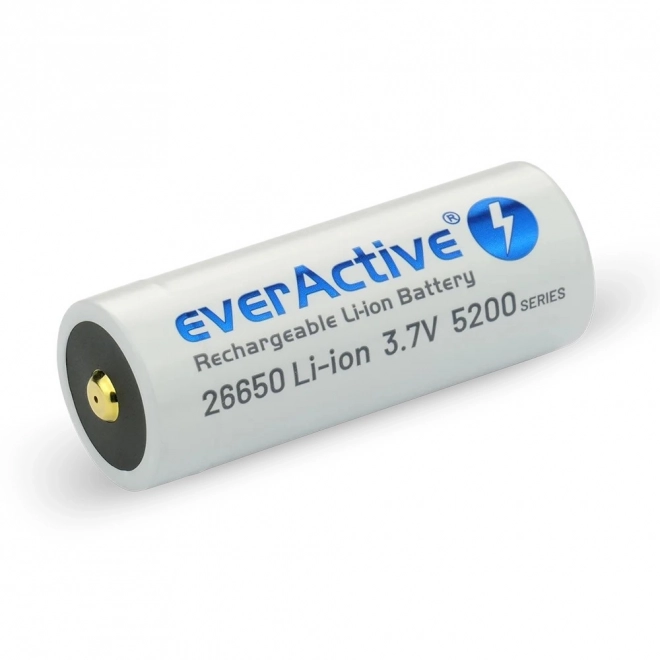 Akumulátor everActive s micro USB 5200 mAh