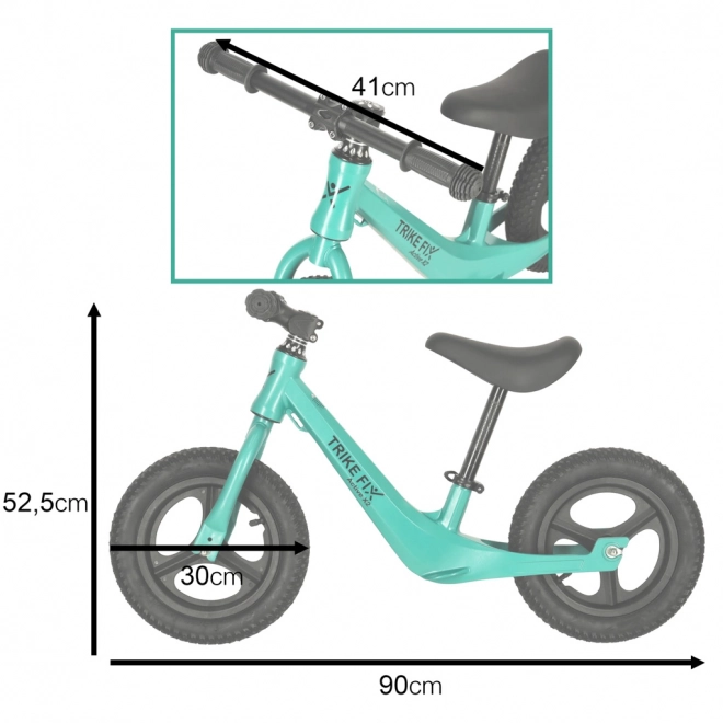 Zelené odrážadlo Trike Fix Active X2