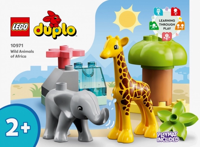 Kocky Duplo Divočina Afriky