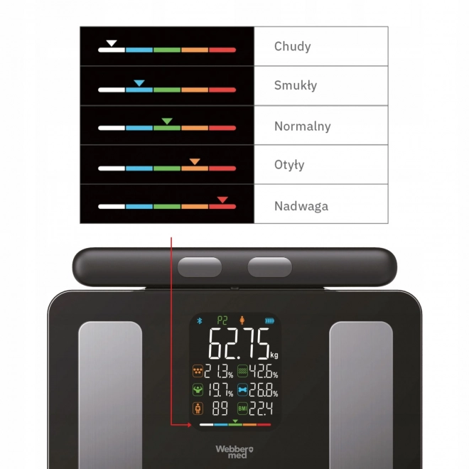 Analytická kúpeľňová váha 15 parametrov WEBBER