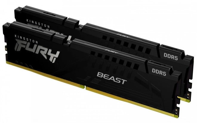 Pamäť DDR5 Fury Beast Black 16GB 6000 MHz CL36