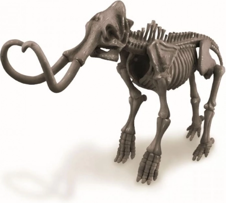 Skladateľný model kostry mamuta
