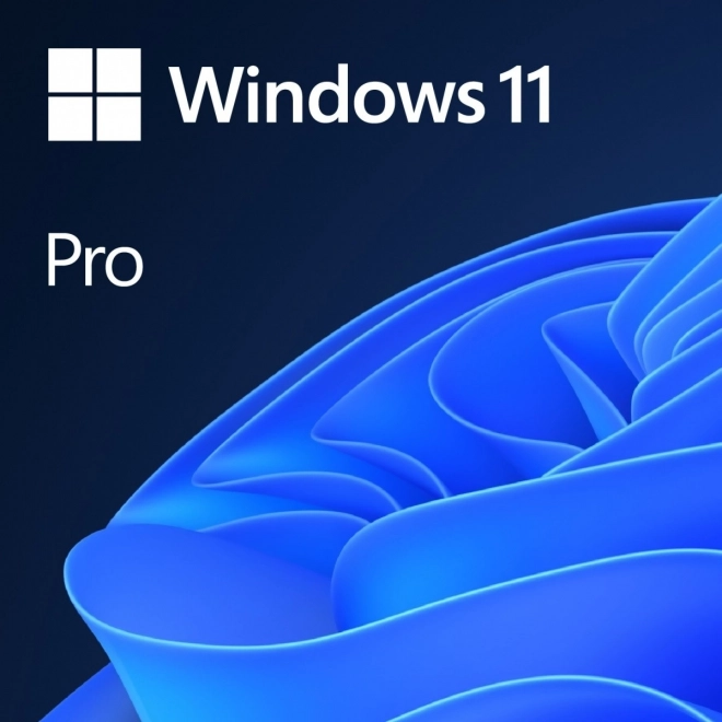 Windows 11 Pro ENG x64