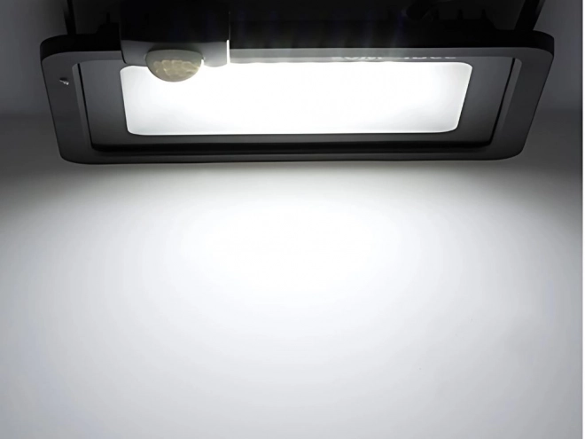 Vonkajší LED Reflektor 30W s Pohybovým a Súmrakovým Senzorom IP66