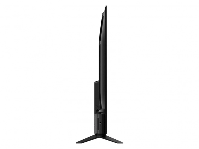 LED TV 55 palcov 55V6B