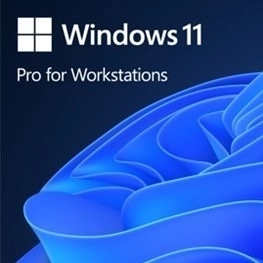 Windows 11 pre pracovné stanice - profesionálna verzia