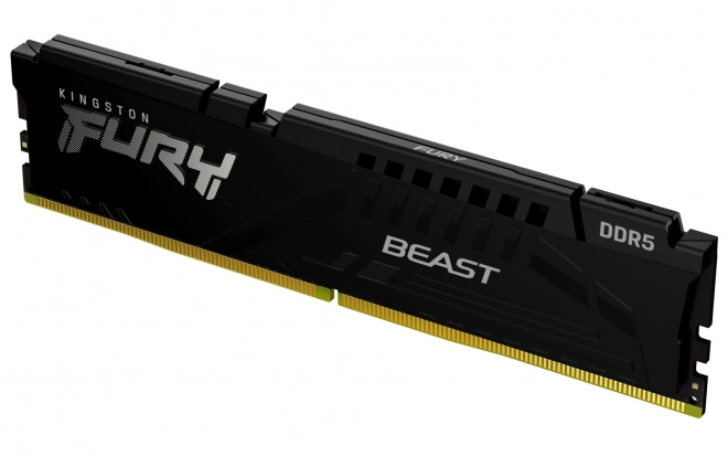 DDR5 pamäť Kingston Fury Beast čierna 16GB/5600 CL36 EXPO
