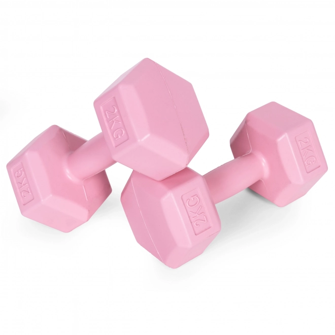 Sada ružových činiek 2x2 kg ModernHome pre fitness