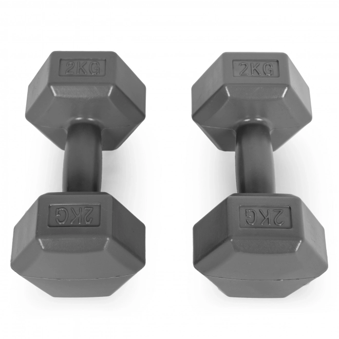 Hexagonálne činky ModernHome 2x2 kg šedé
