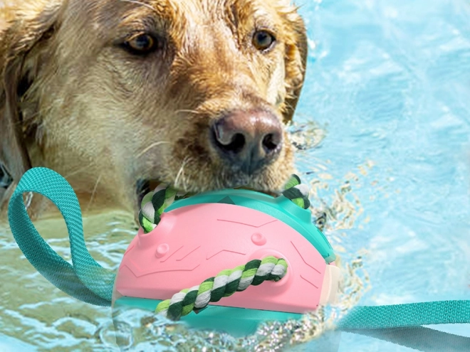 Interaktívna hračka pre psa frisbee a loptička