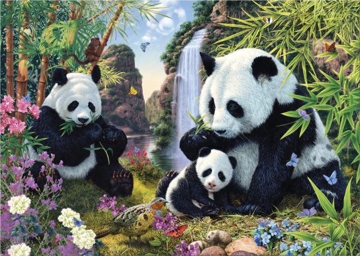 Puzzle Skryté pandy 1000 dielikov – Secret Collection