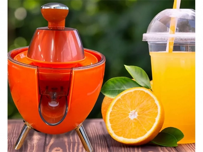 Elektrický citrusový odšťavňovač