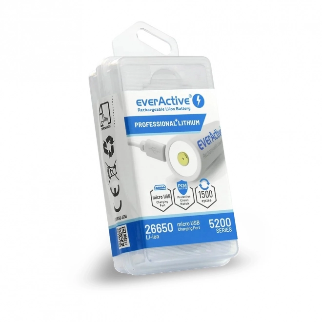 Akumulátor everActive s micro USB 5200 mAh