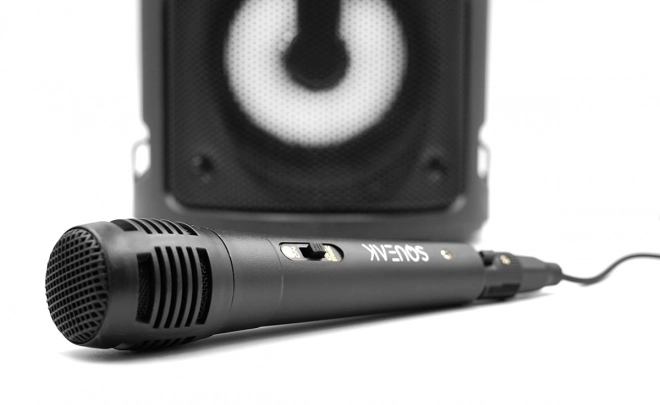 Bluetooth reproduktor Harmony s karaoke funkciou
