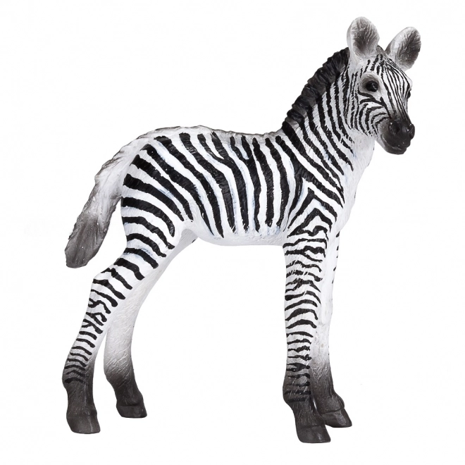 Realistická figúrka mláďa zebra