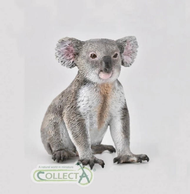 Collecta Koala