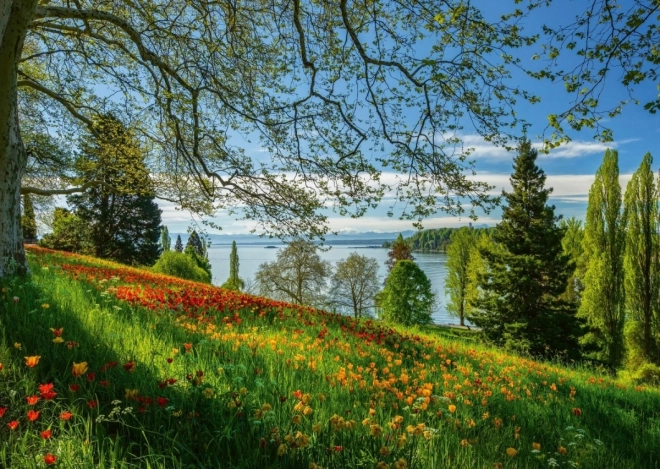 Puzzle Kvitnúce tulipány na ostrove Mainau 1000 dielikov