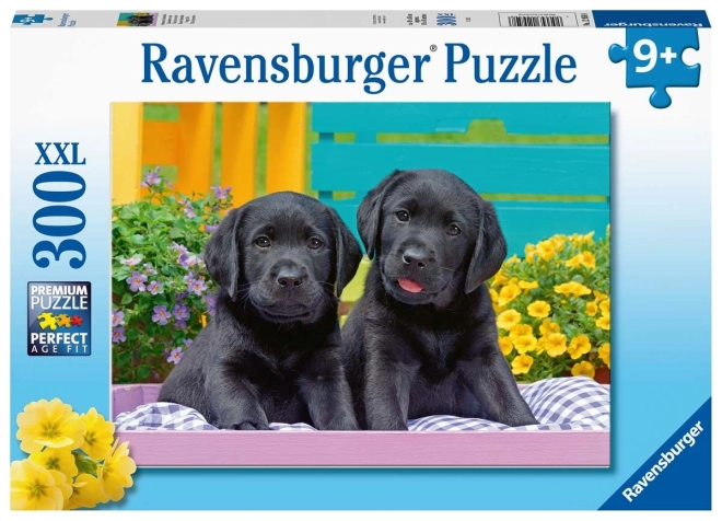 Puzzle Čierne Labradory XXL