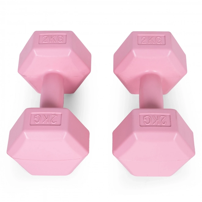 Sada ružových činiek 2x2 kg ModernHome pre fitness