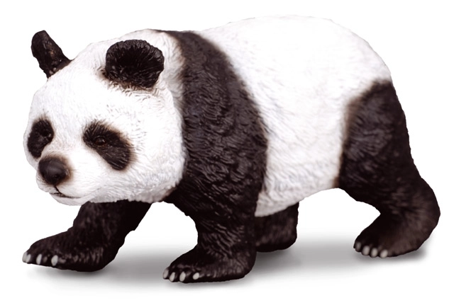 Panda veľká