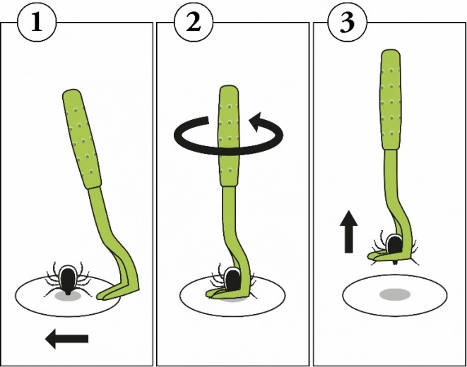 Jednoduchý postup krok za krokom