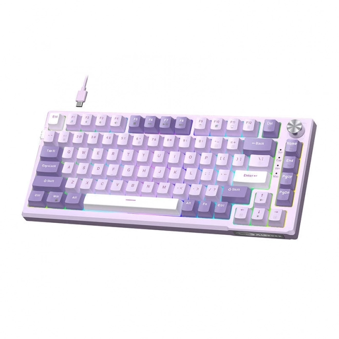 Kompaktná mechanická herná klávesnica SKY81 (purpurová)