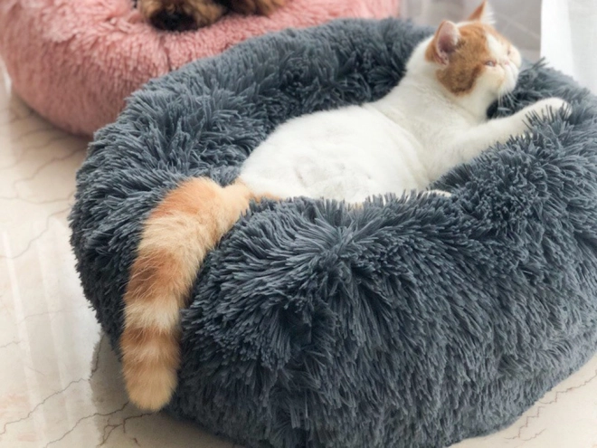 Mäkký vankúš pre mačky 80 cm – tmavosivá