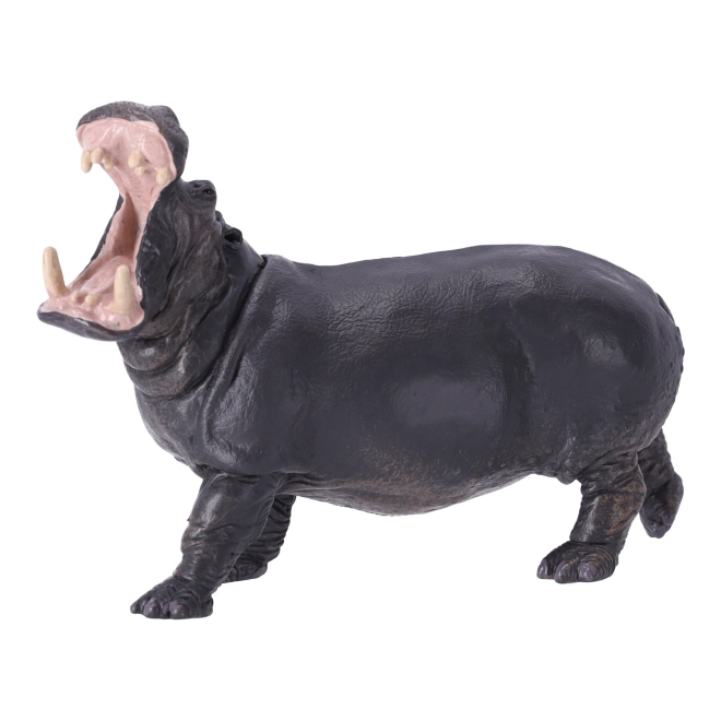 Vzdelávanie aj zberateľstvo