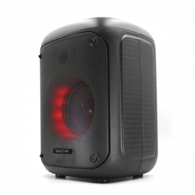 Prenosný reproduktor Bluetooth s funkciou KARAOKE