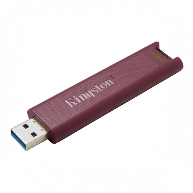 USB kľúč Kingston DataTraveler Max 256GB