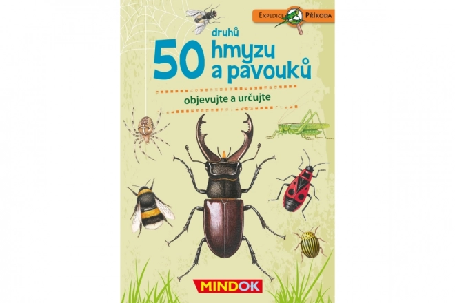 Expedícia príroda: 50 druhov hmyzu a pavúkov