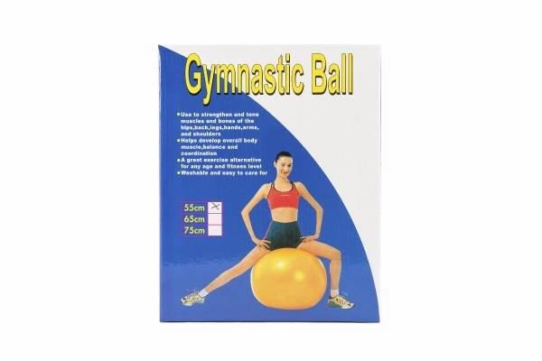 Gymnastická lopta - 55 cm