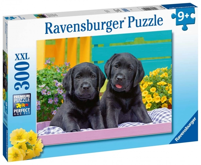 Puzzle Čierne Labradory XXL