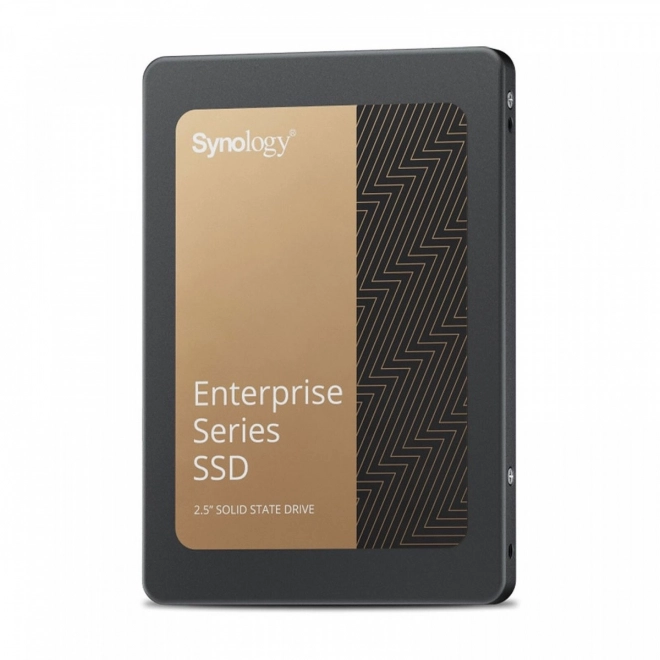 Podnikový SSD disk Synology 960GB