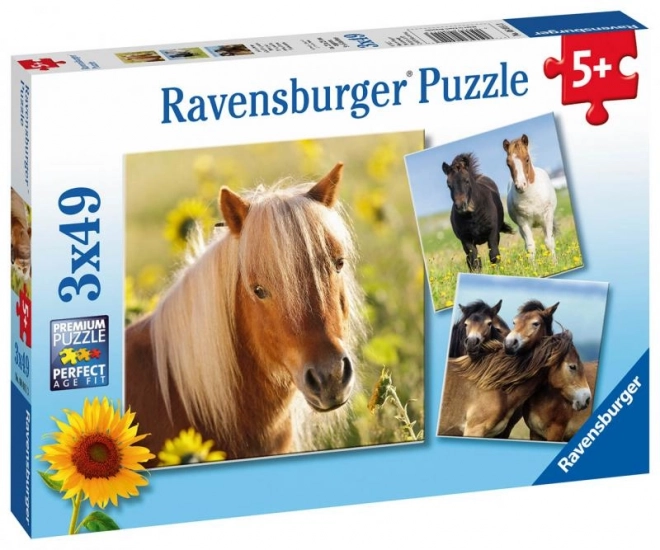 Ravensburger Puzzle Láska Kone 3x49 ks