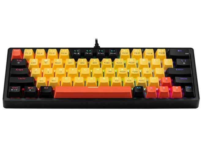 Mechanická klávesnica Gamezone EVO2 Hot Swap